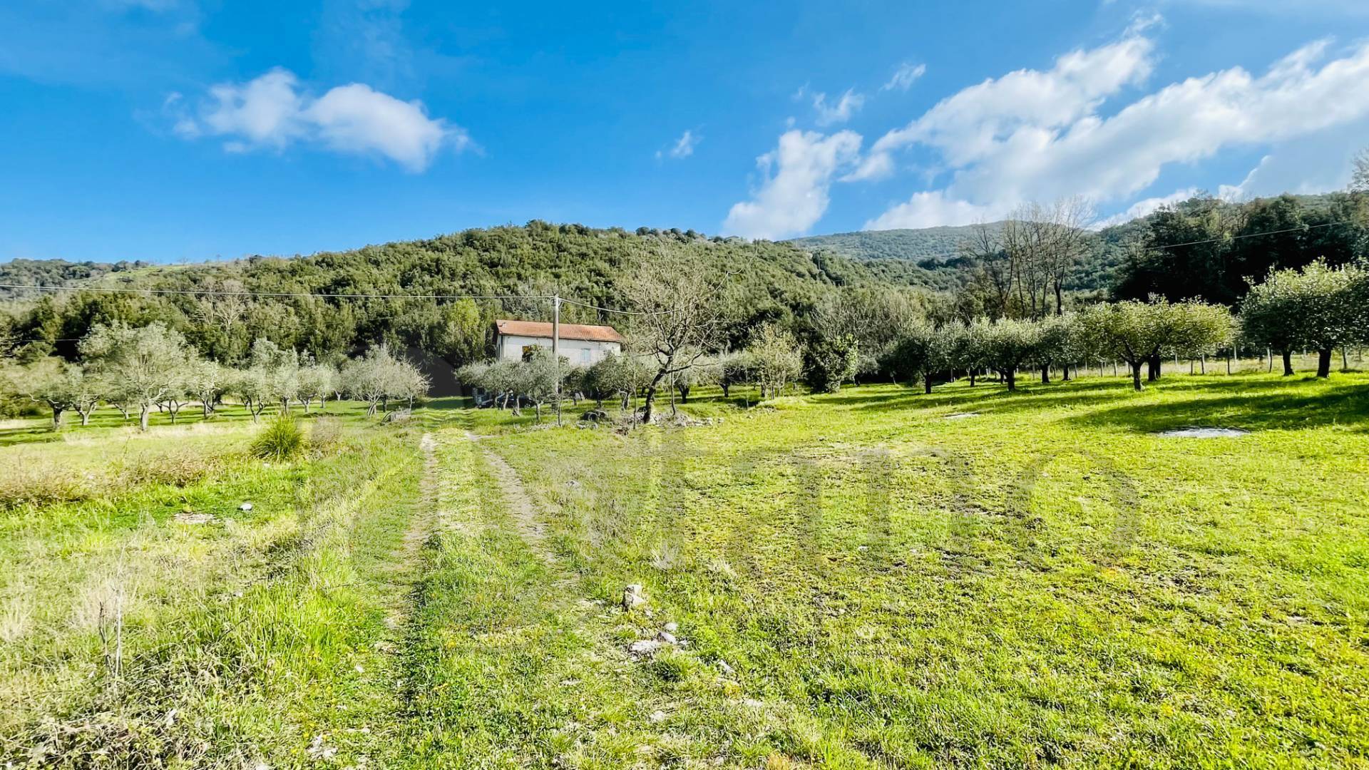 Casale di campagna in vendita a Roccasecca