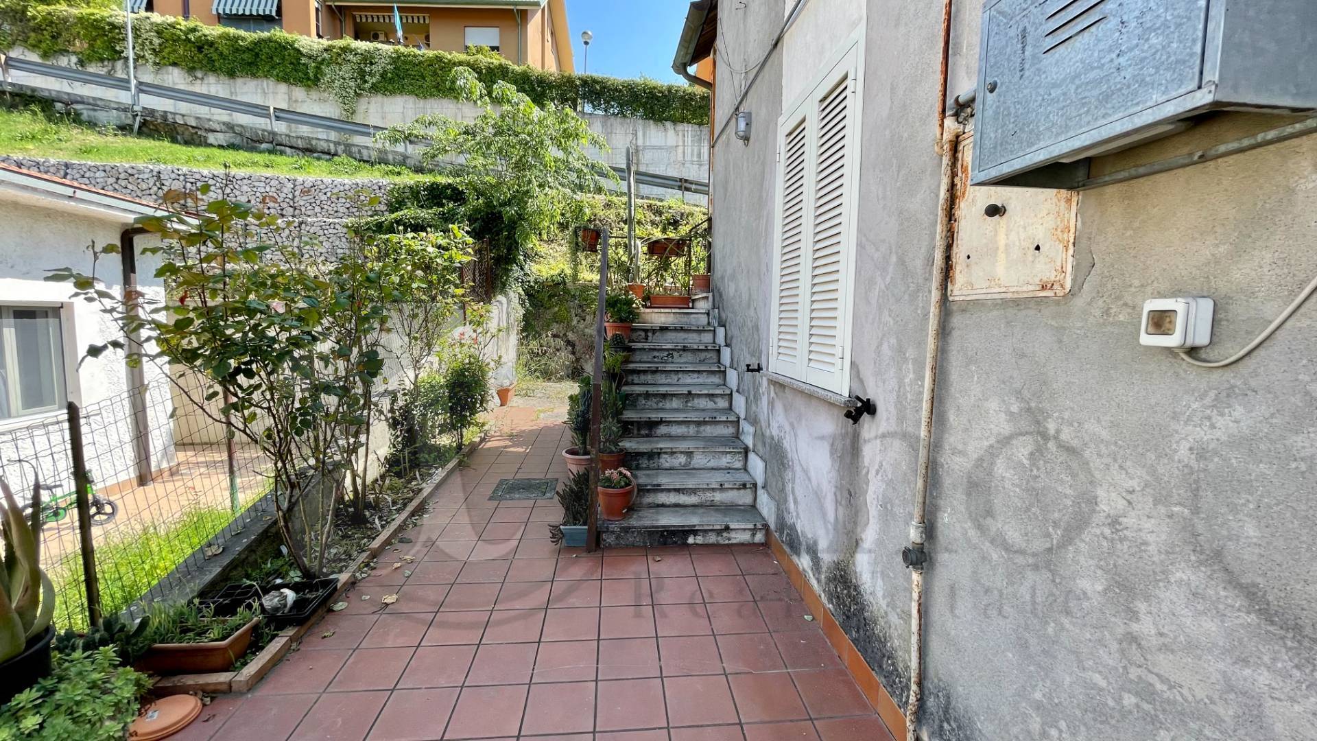 immagine annuncio 5 di 6