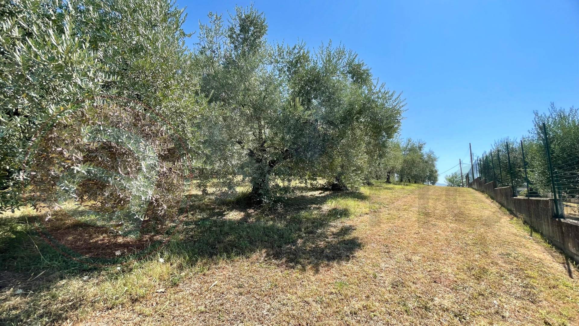 immagine annuncio 1 di 6