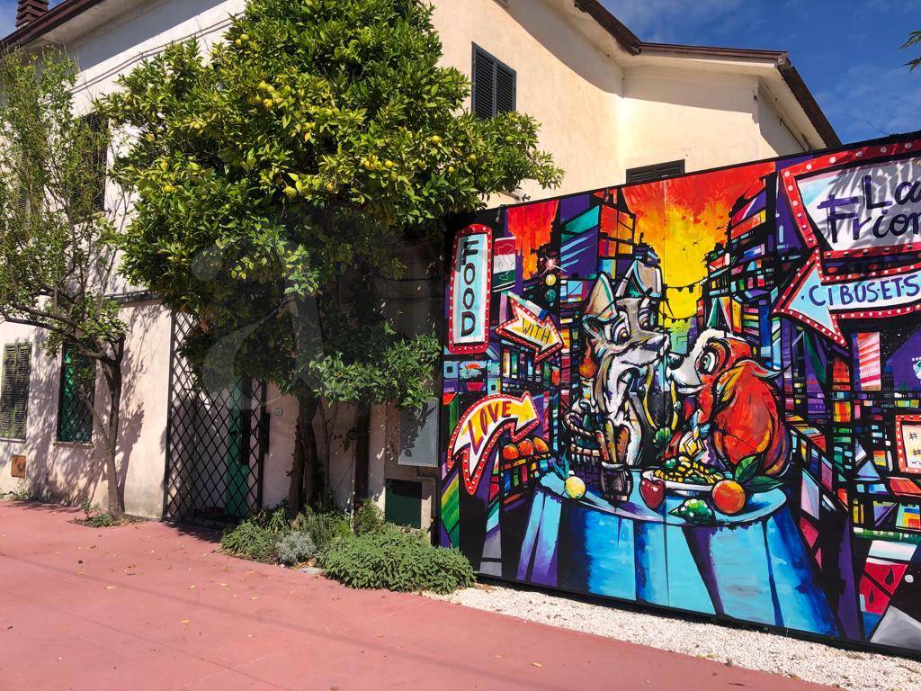 Attivit commerciale in vendita a Roccasecca