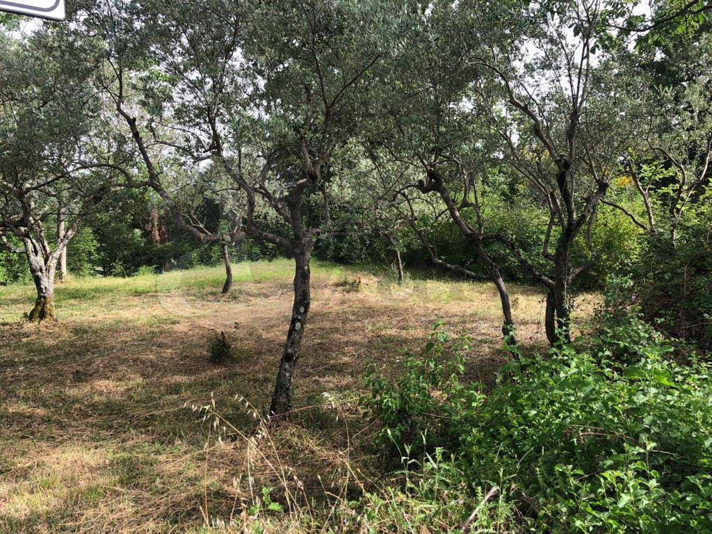 Rudere in vendita a Santopadre