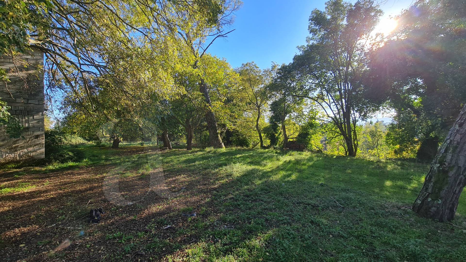 Casale di campagna in vendita a Aquino