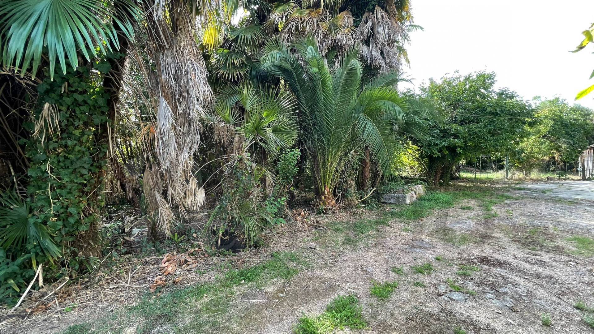 Casa indipendente in vendita a Roccasecca