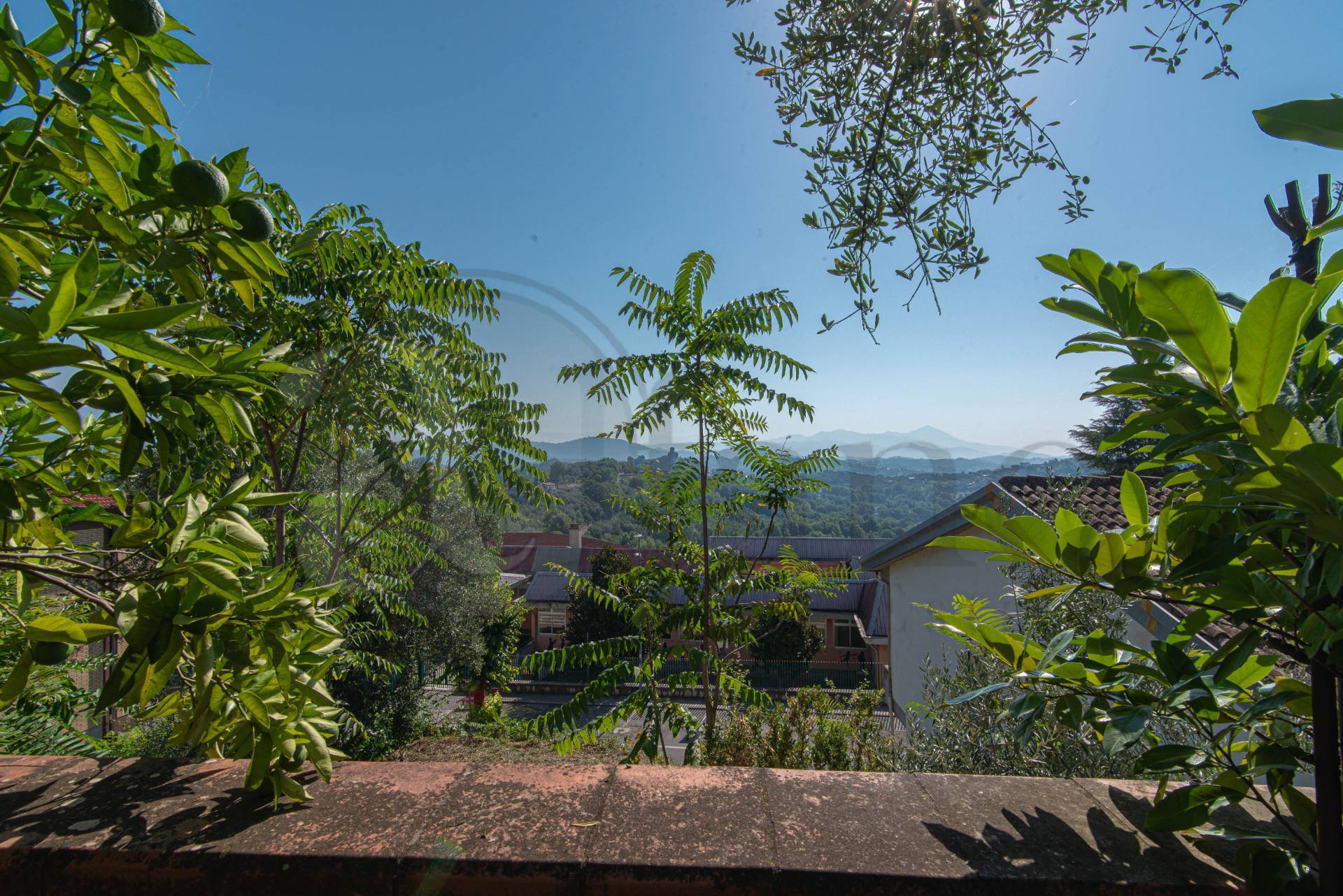 Casa indipendente in vendita a Torrice