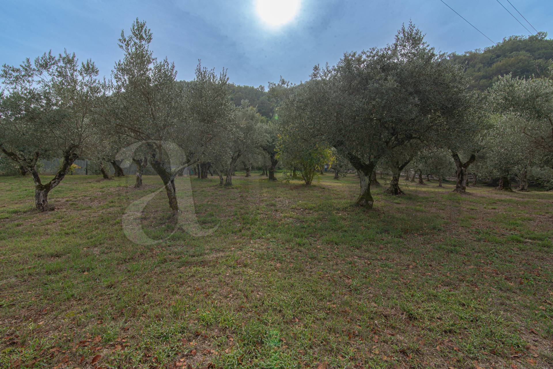 Villa in vendita a Falvaterra