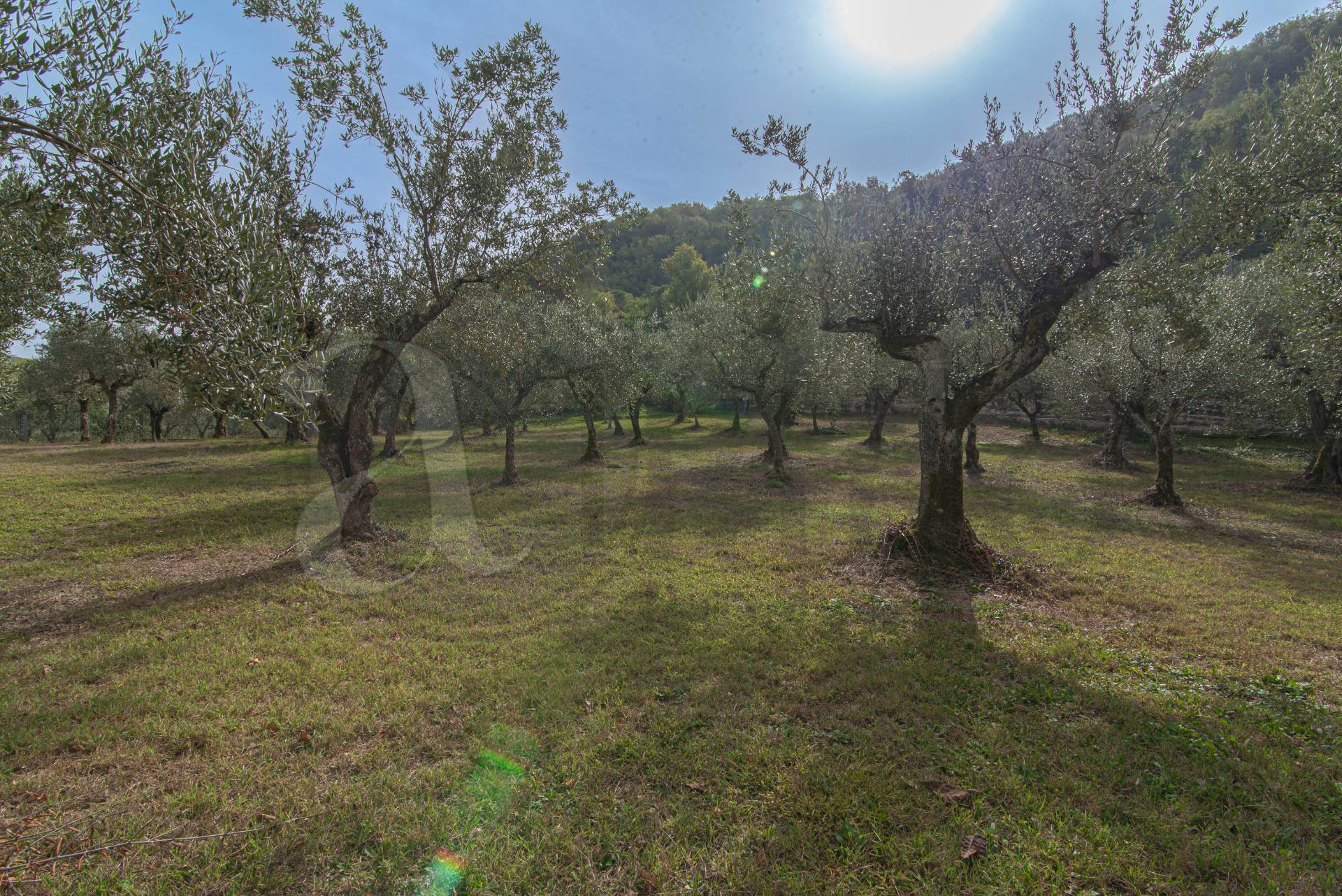 Villa in vendita a Falvaterra