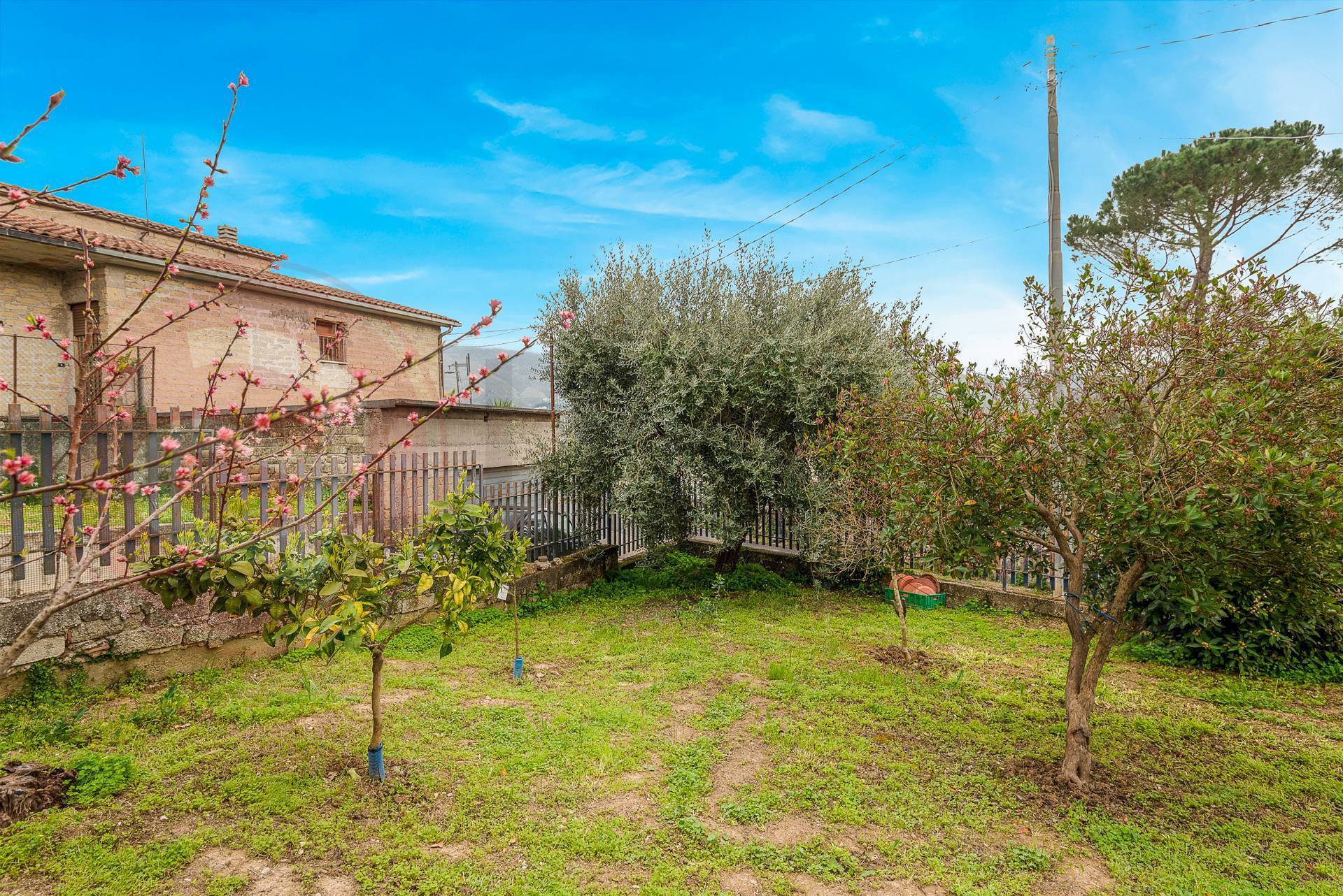 Casa indipendente in vendita a Sant'Ambrogio sul Garigliano