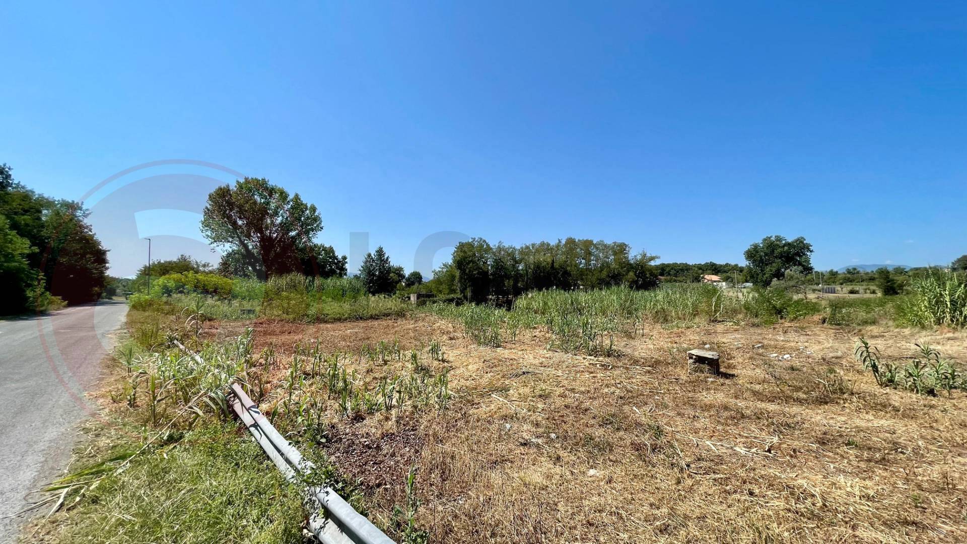 Terreno edificabile in vendita a Colfelice