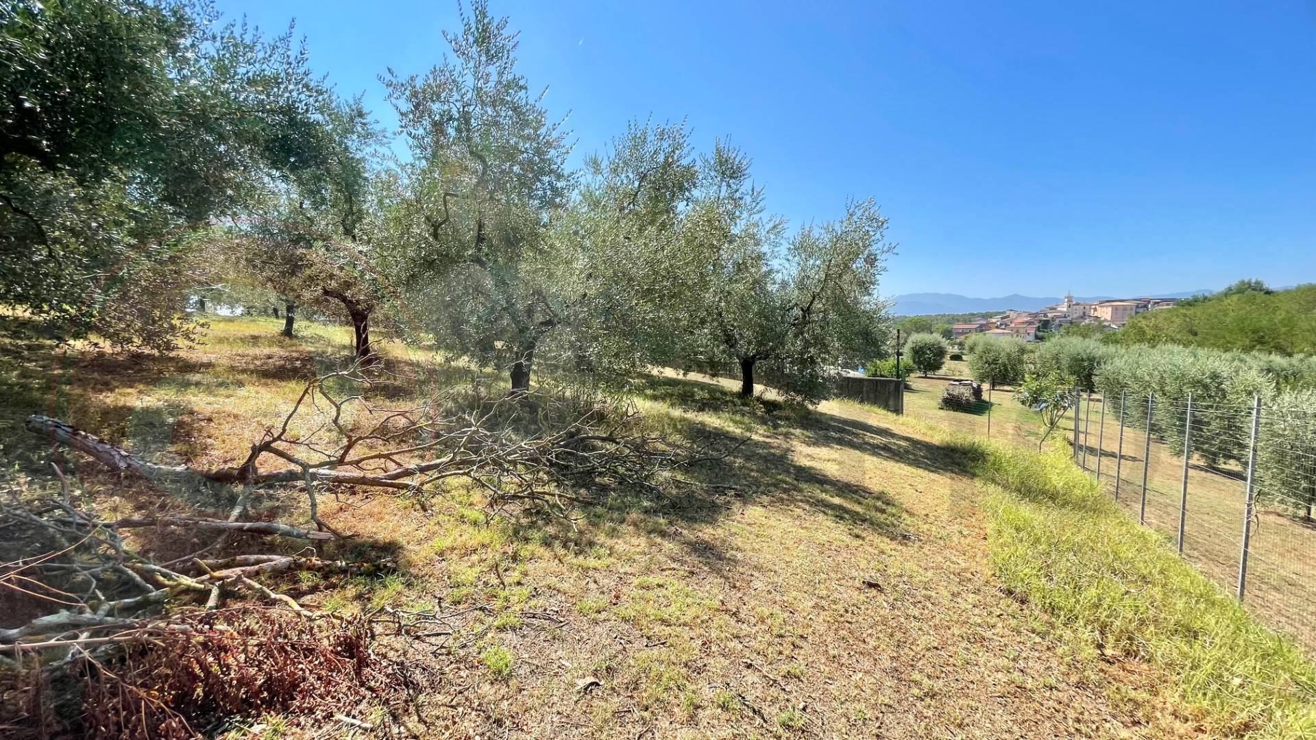 Terreno edificabile in vendita a Colfelice