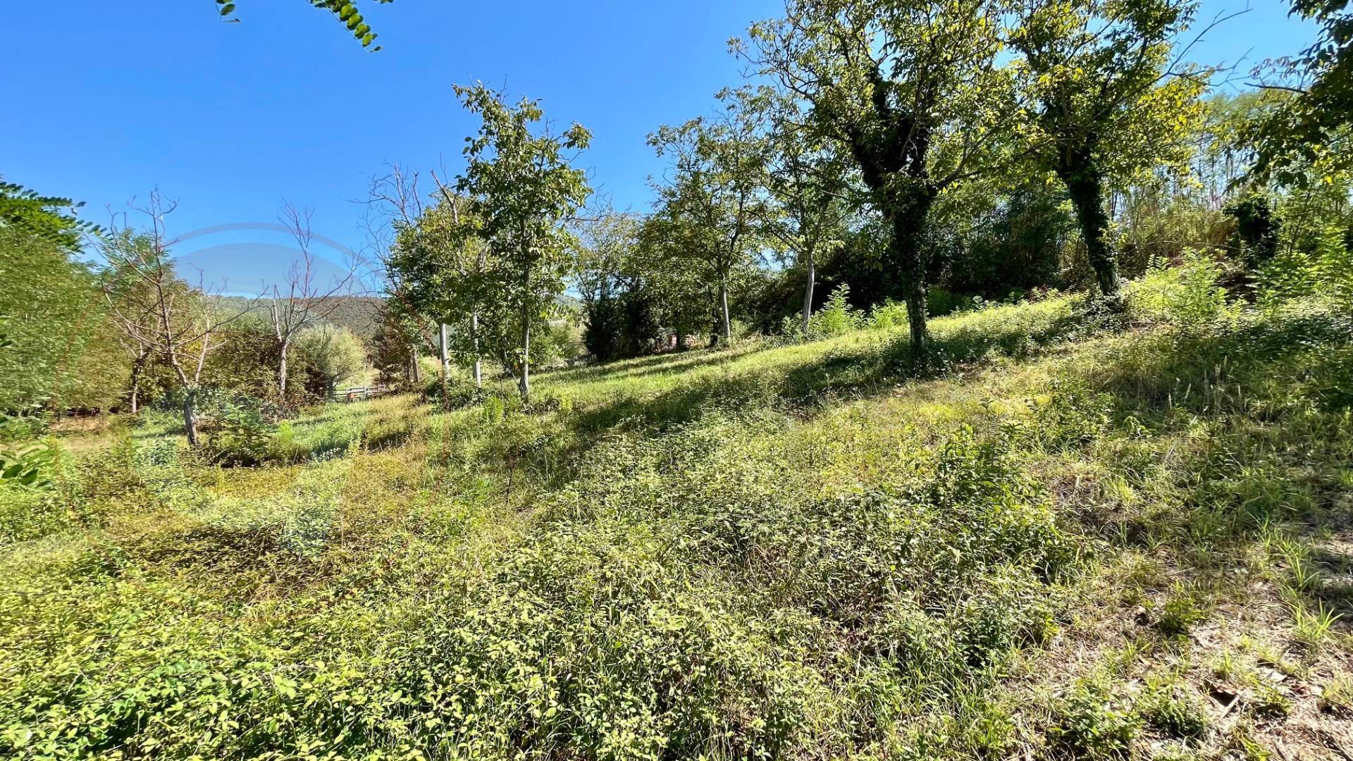 Terreno edificabile in vendita a Colfelice