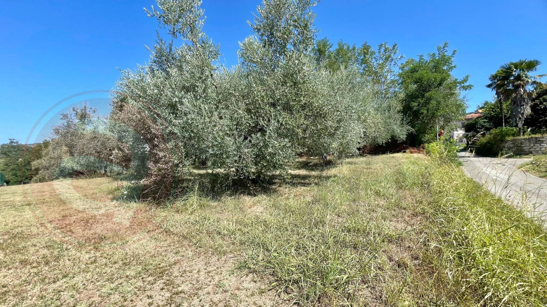 Terreno edificabile in vendita a Colfelice