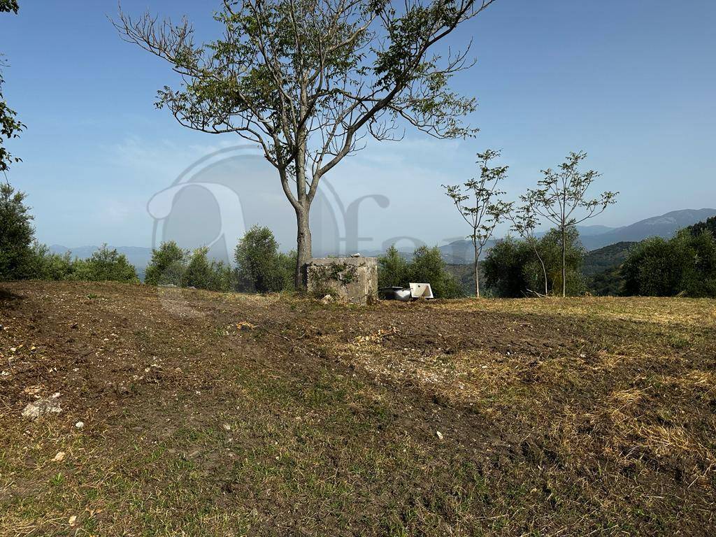 Casale di campagna in vendita a Rocca d'Arce
