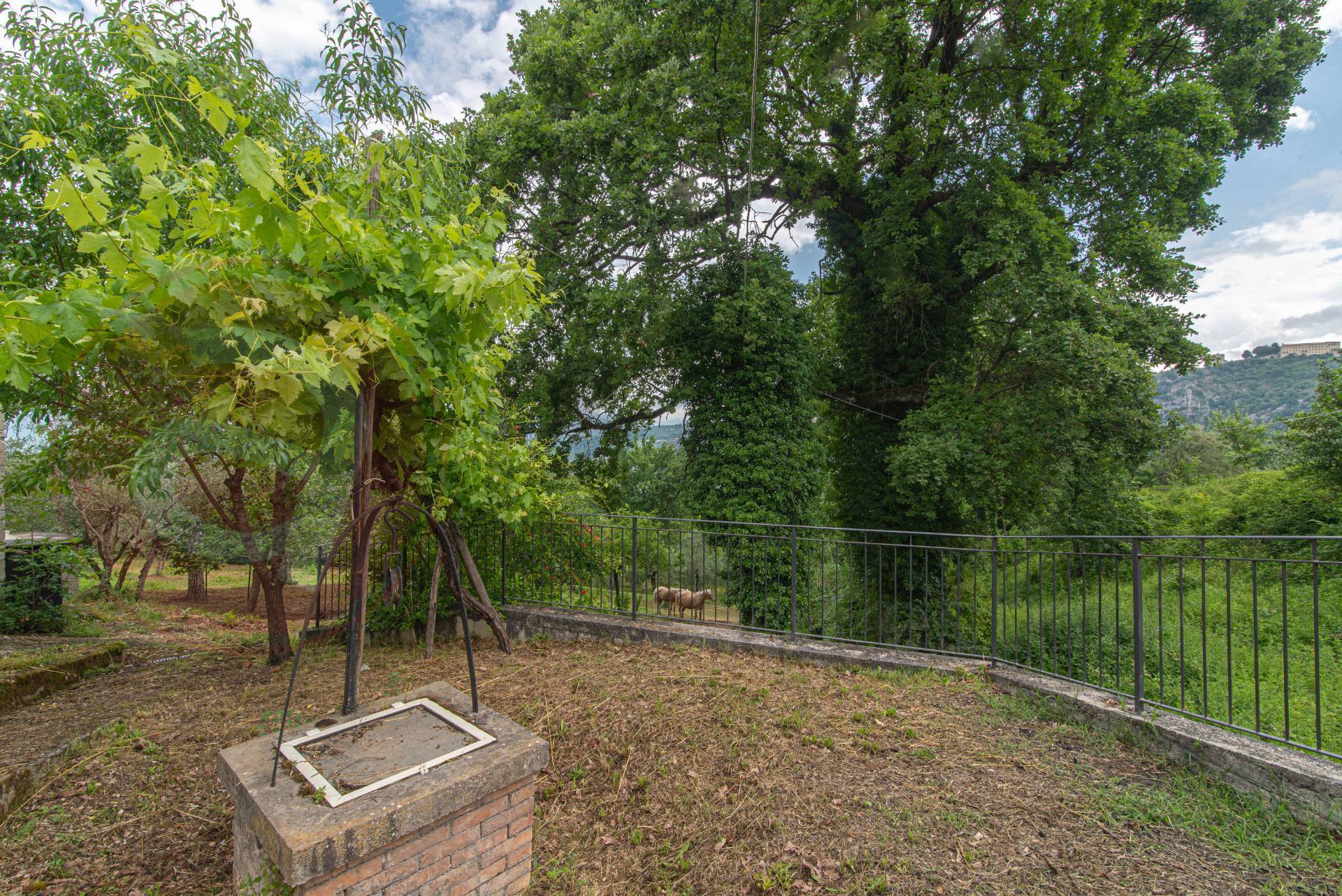 soluzione semiindipendente in vendita a Arpino