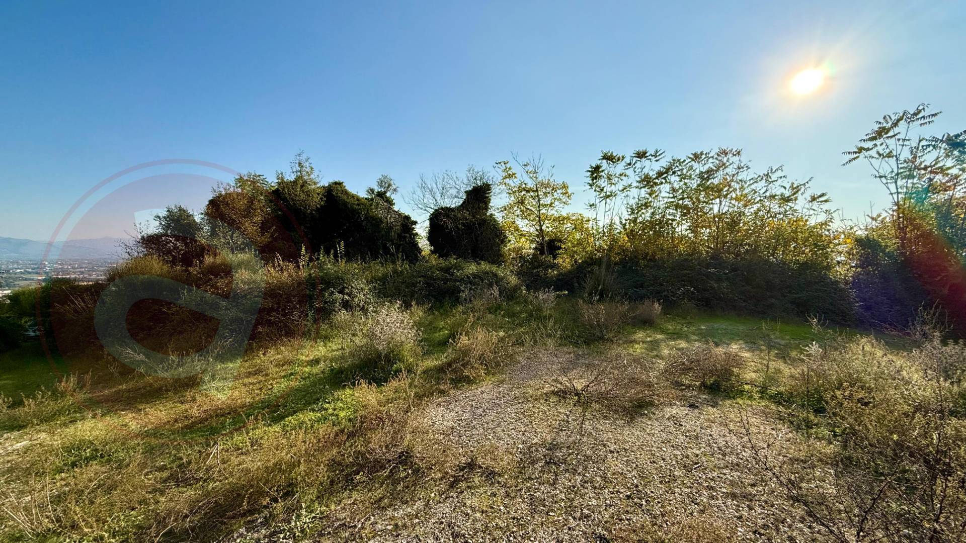 Terreno Agricolo in vendita a Castrocielo