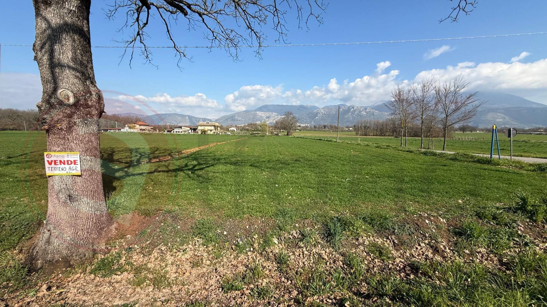 Terreno Agricolo in vendita a Roccasecca