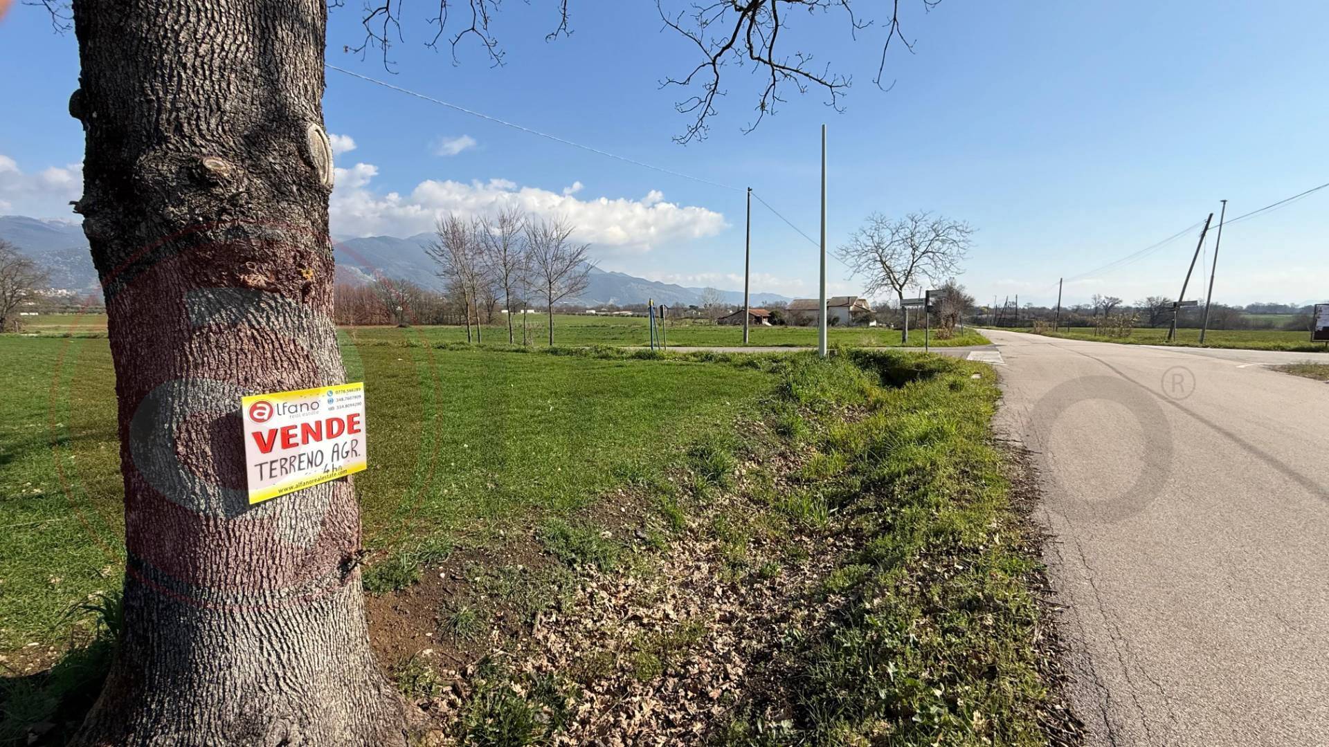 Terreno Agricolo in vendita a Roccasecca
