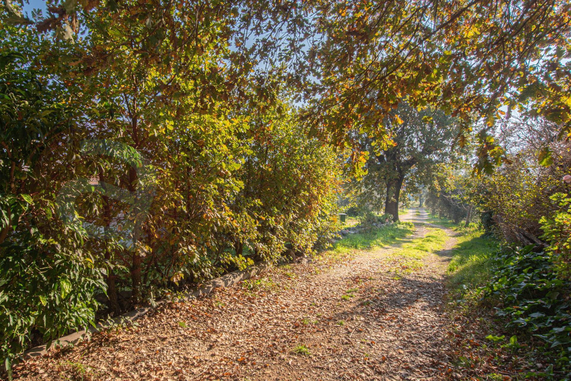 Casa indipendente in vendita a Prossedi
