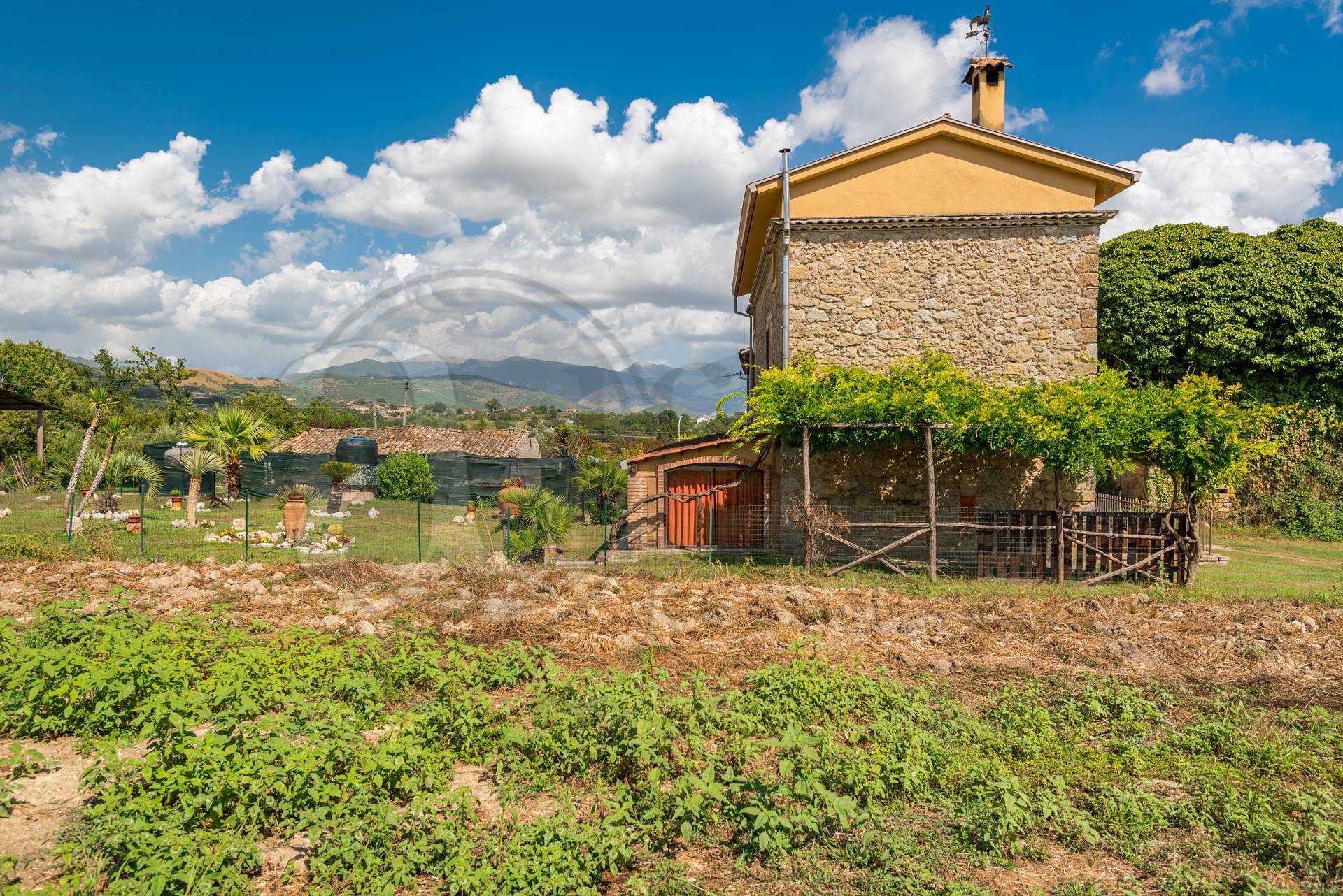 immagine annuncio 7 di 10