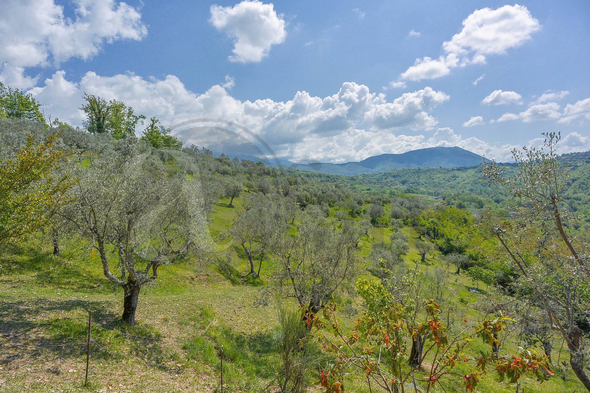 Villa in vendita a Sora