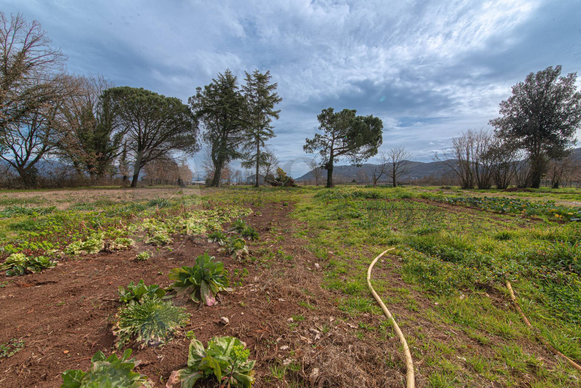Casale di campagna in vendita a Ceprano