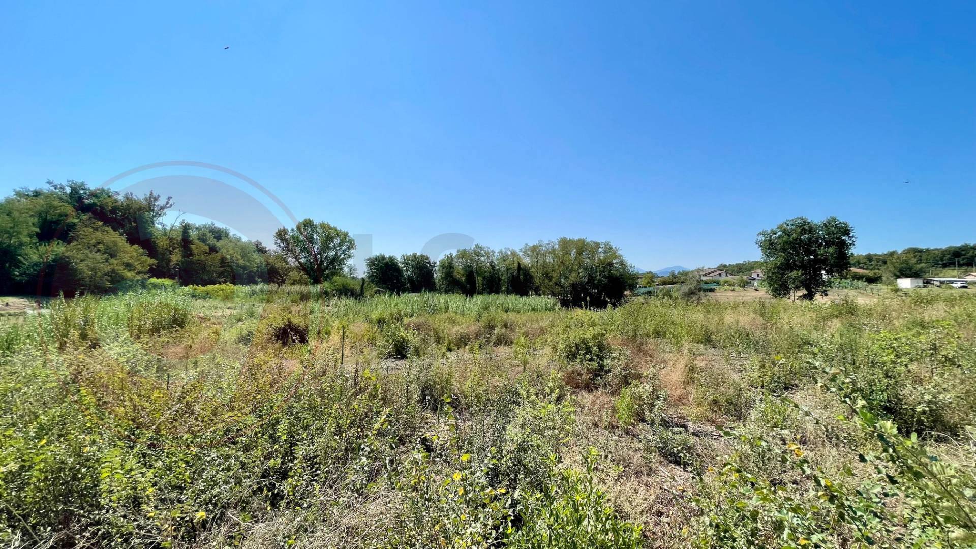 Terreno edificabile in vendita a Colfelice