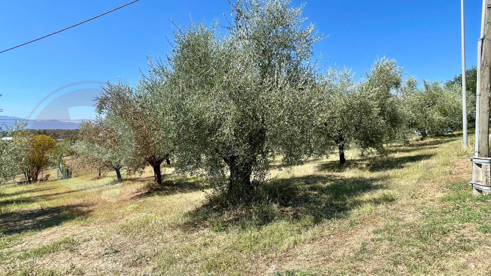 Terreno edificabile in vendita a Colfelice
