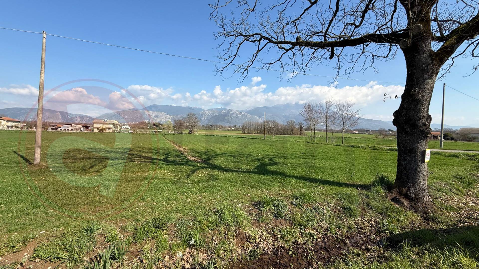 Terreno Agricolo in vendita a Roccasecca