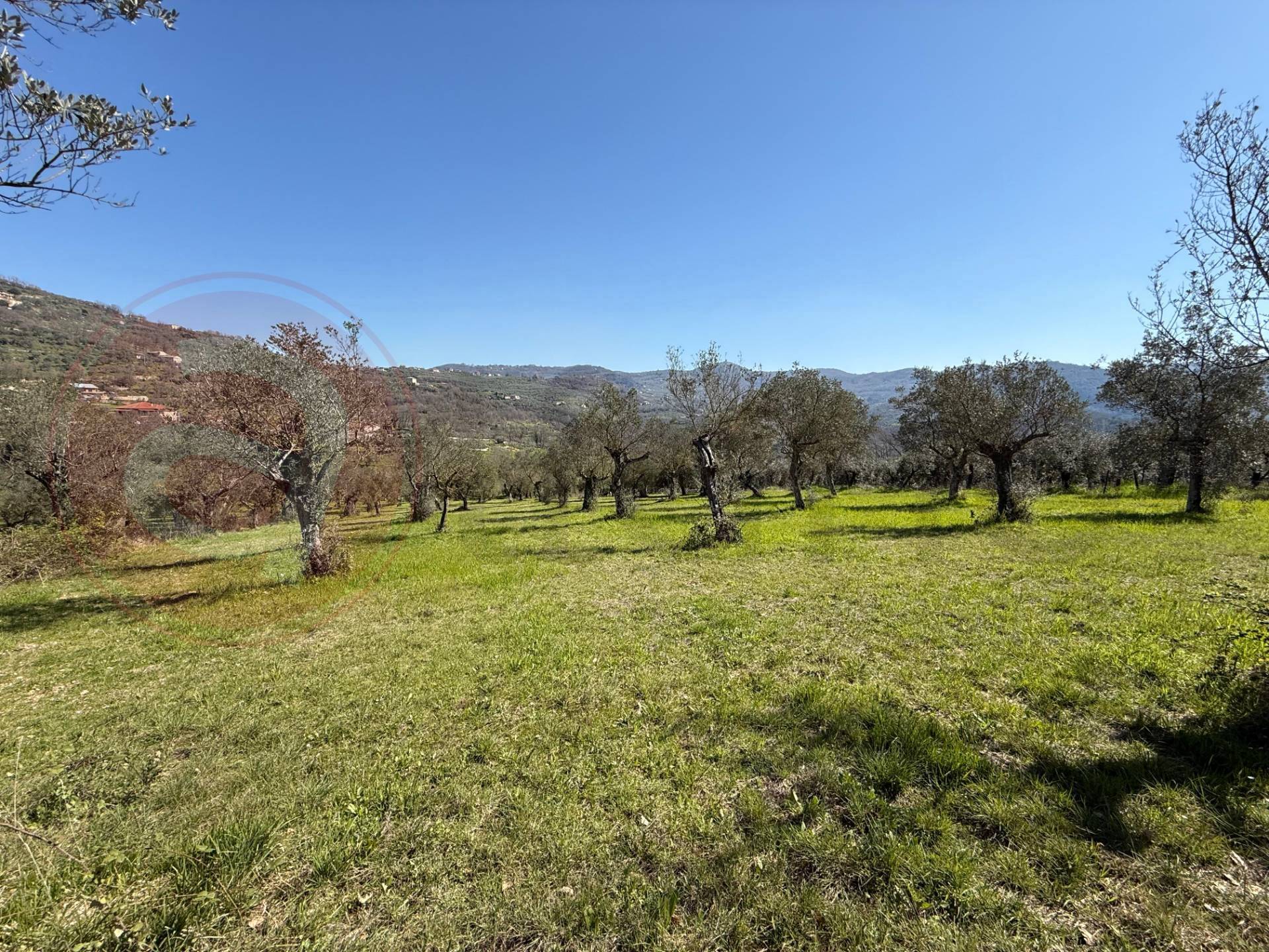 Casale di campagna in vendita a Arpino