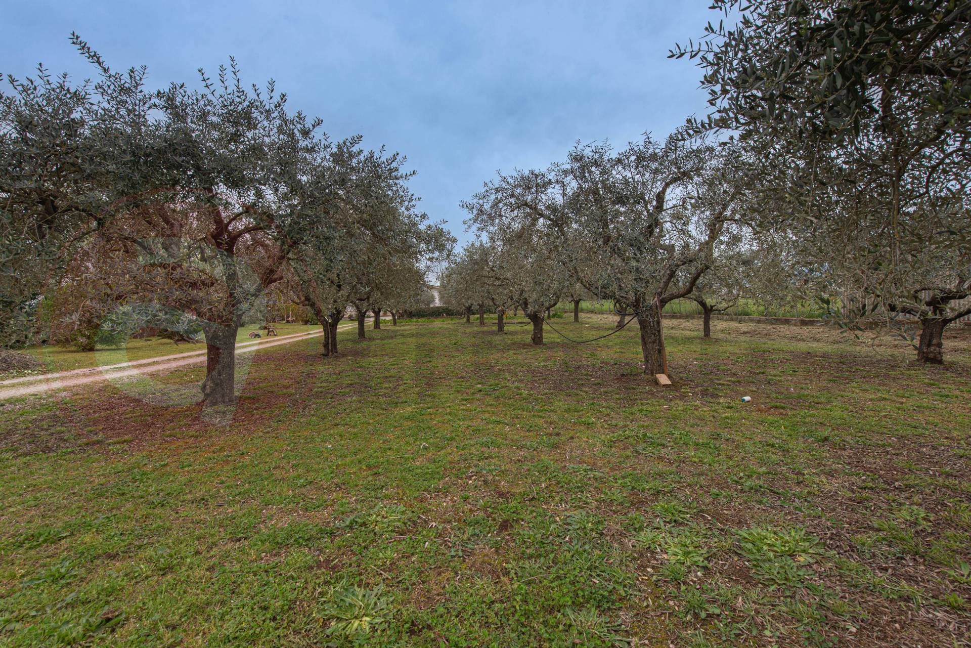 Casa indipendente in vendita a Castrocielo