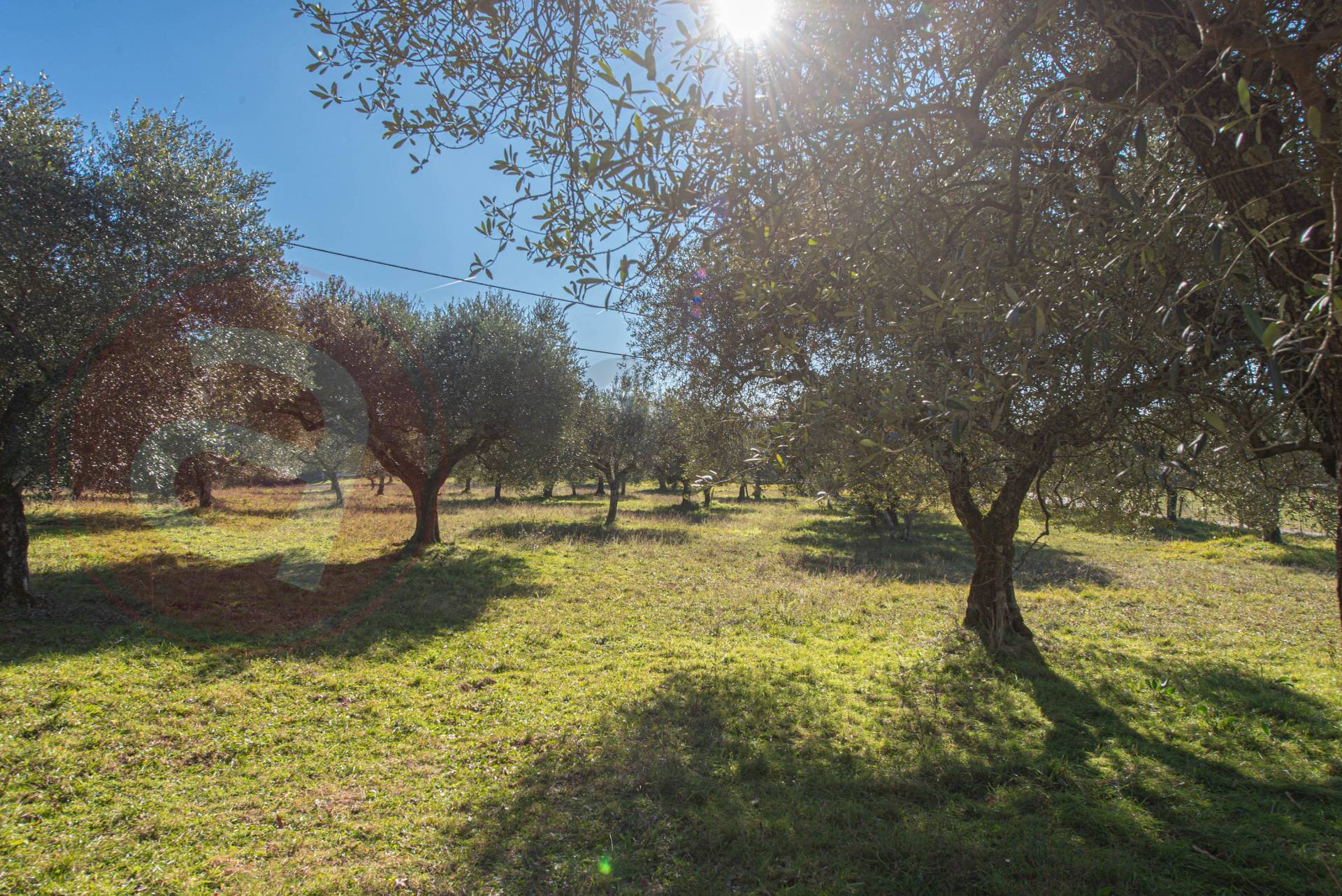Casale di campagna in vendita a Veroli, Scifelli