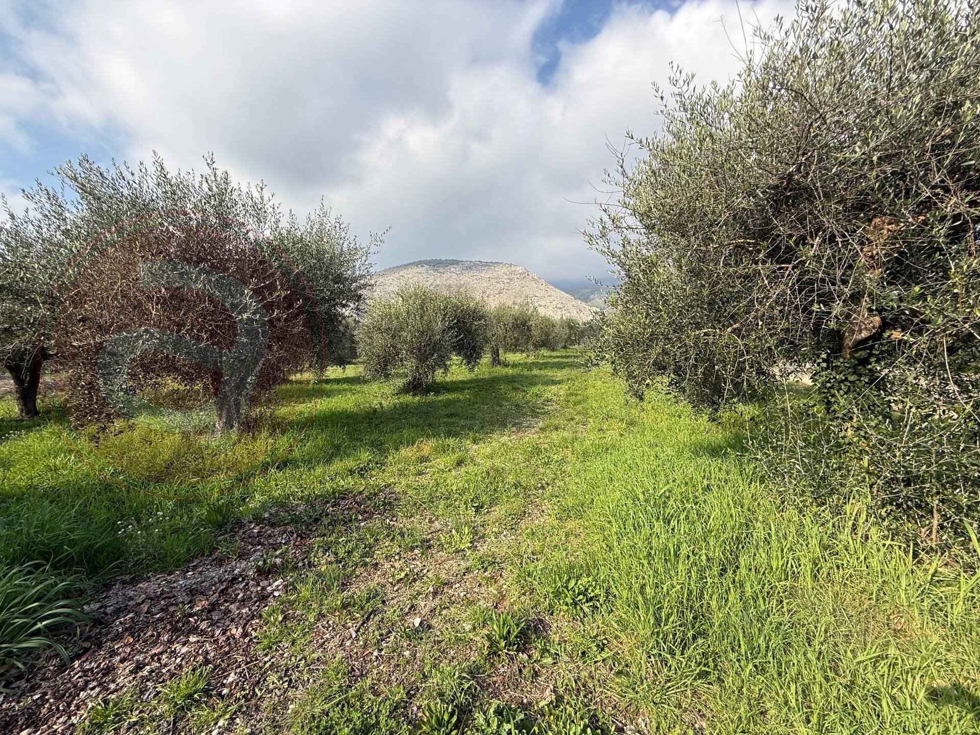 Casa indipendente in vendita a Piedimonte San Germano