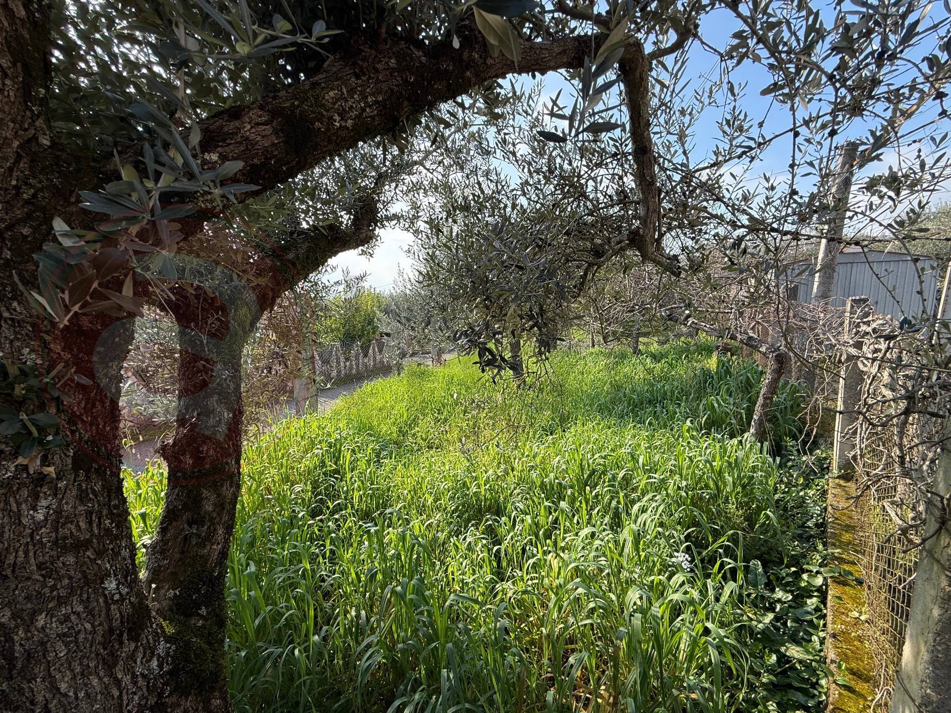 Casa indipendente in vendita a Piedimonte San Germano