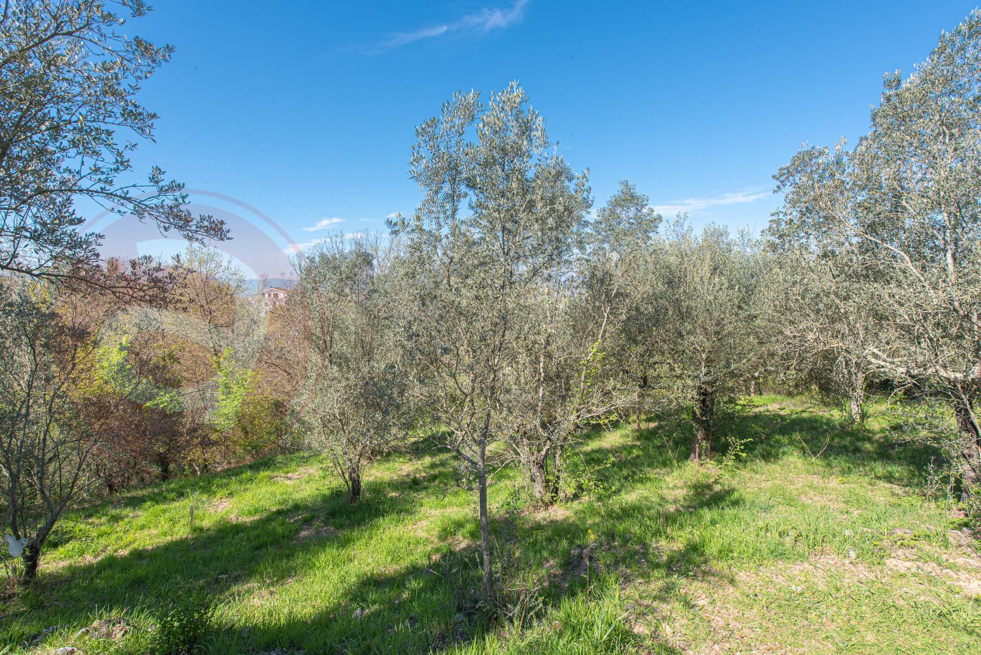 Villa in vendita a Fontana Liri, Fontana Liri Inferiore