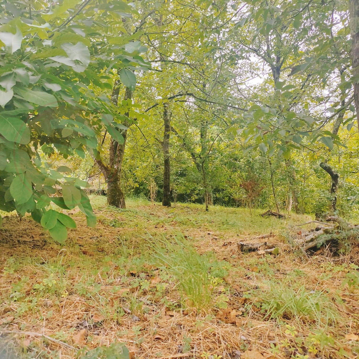 Terreno edificabile in vendita a Villafranca in Lunigiana