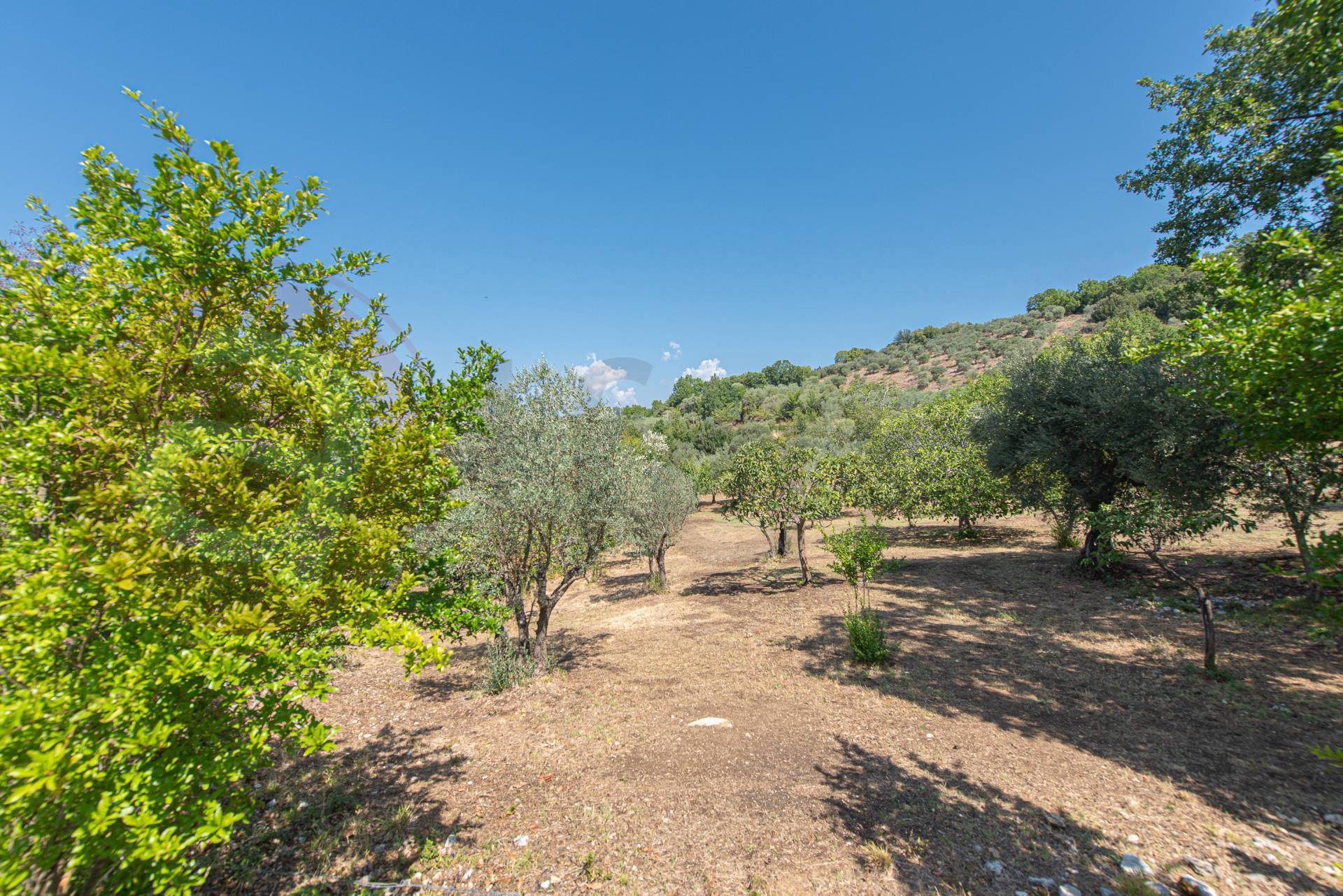 Casa indipendente in vendita a Roccasecca
