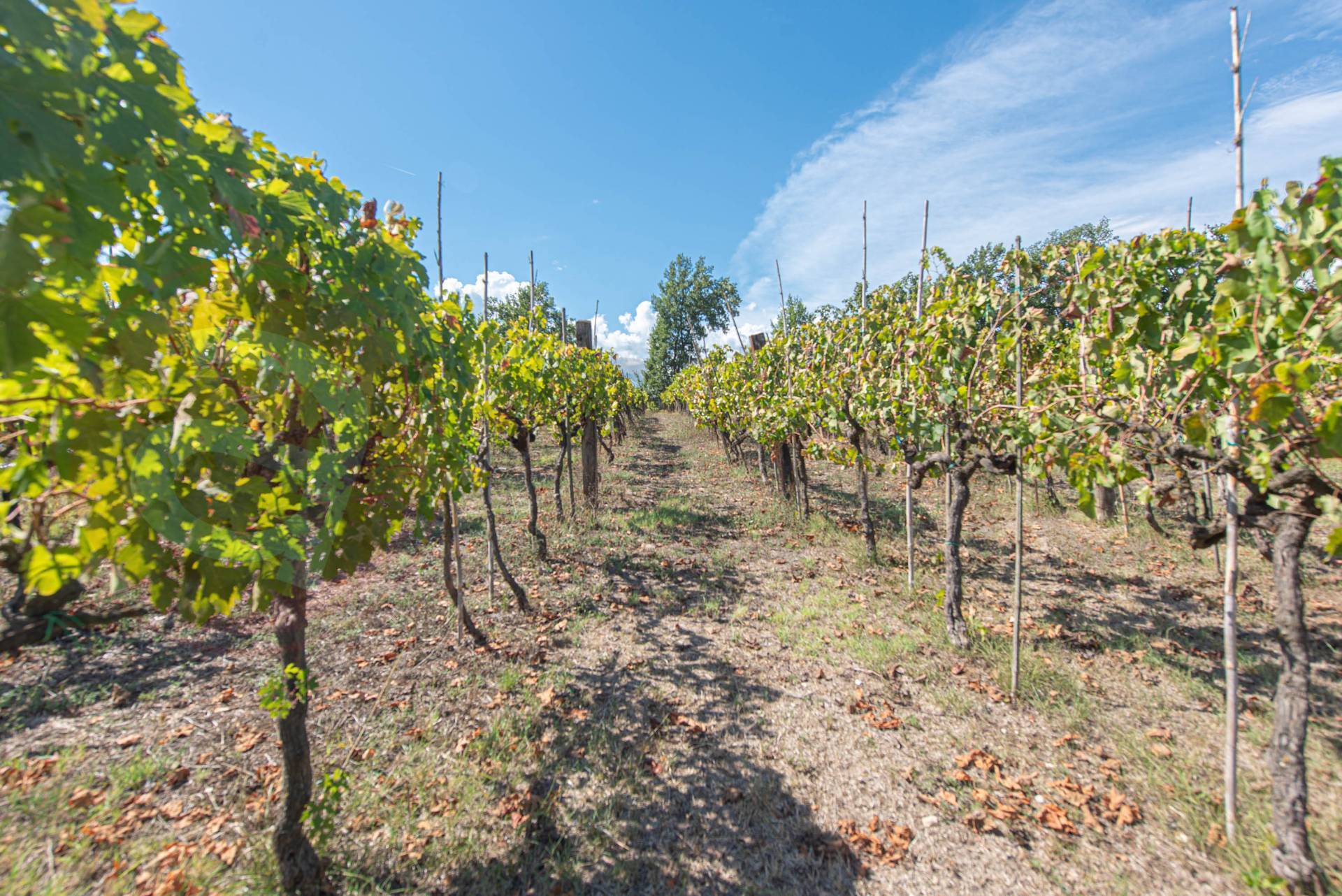 Casale di campagna in vendita a Pontecorvo
