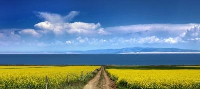 Terreno Agricolo in vendita a Cornate d'Adda