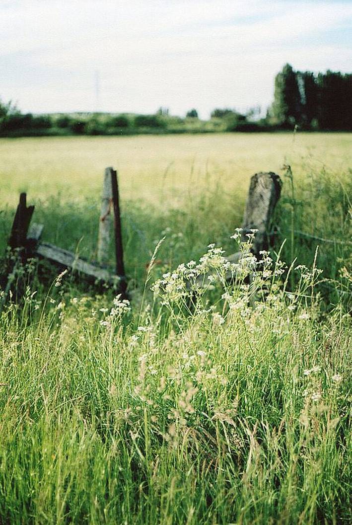 Terreno Agricolo in vendita a Busnago