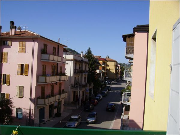 immagine annuncio 2 di 6
