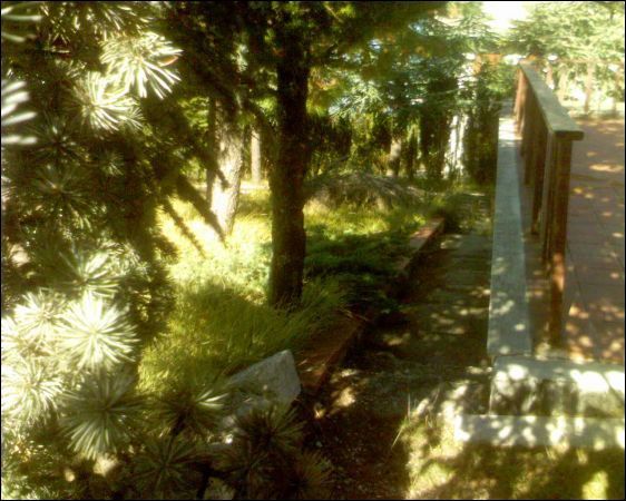 Casa indipendente in vendita a Valle Castellana