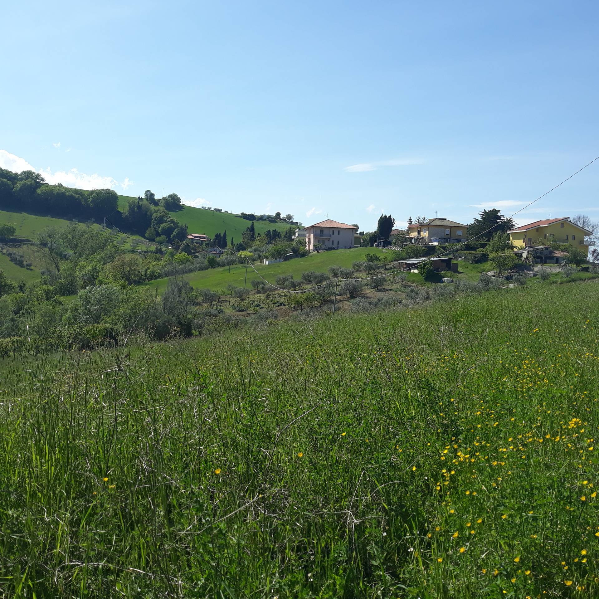 immagine annuncio 3 di 6