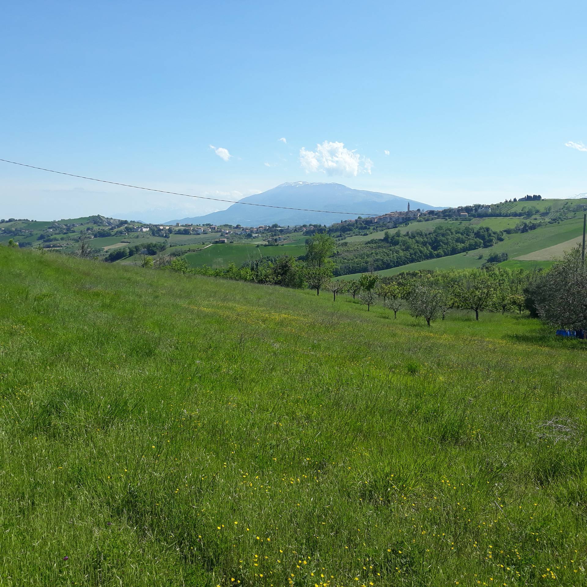 immagine annuncio 4 di 6