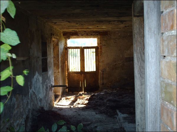 Casa colonica in vendita a Force