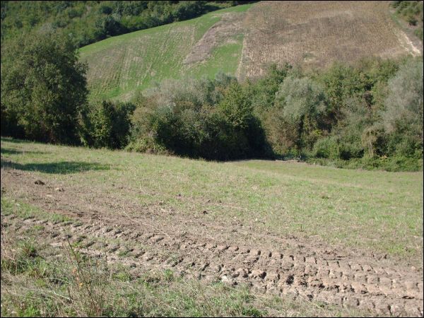 Casa colonica in vendita a Force