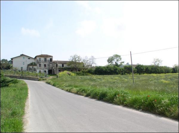 immagine annuncio 4 di 6