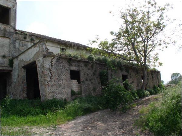 immagine annuncio 5 di 6