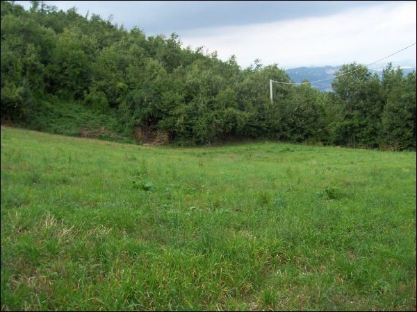 Casa colonica in vendita a Rotella, Capradosso