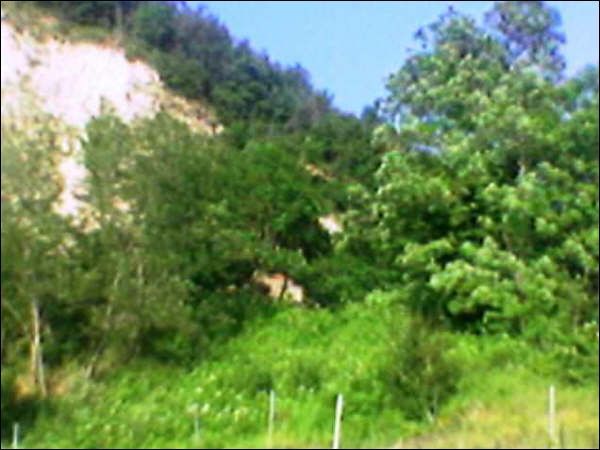 Casa colonica in vendita a Force