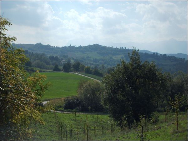Casa colonica in vendita a Force