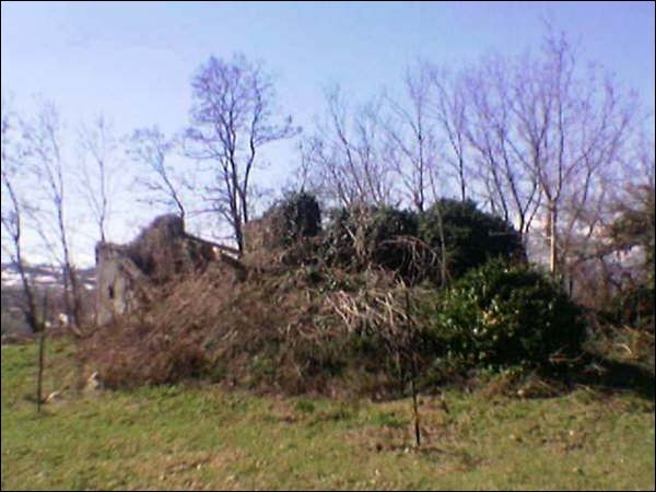 Casa colonica in vendita a Force